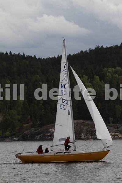 Bundefjorden2012 290.jpg